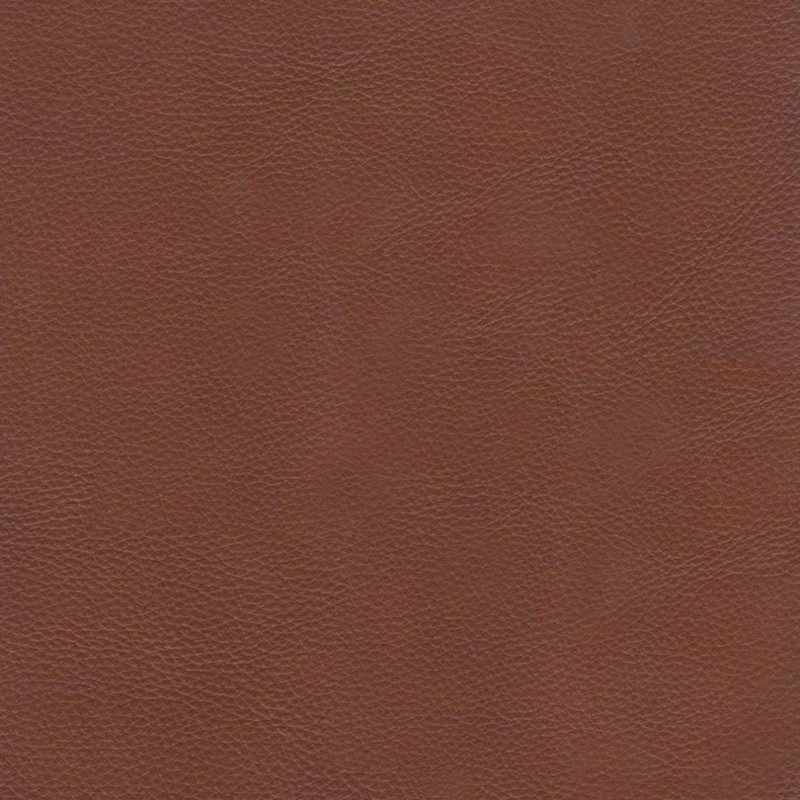 Flash Sale ๐ Hydeline USA Hydeline Dillon Top Grain Leather Sofa Collection, Cinnamon Brown, Sofa ๐ฅฐ - Image 11